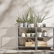 HYLLIS Shelving unit, in/outdoor, 60x27x74 cm