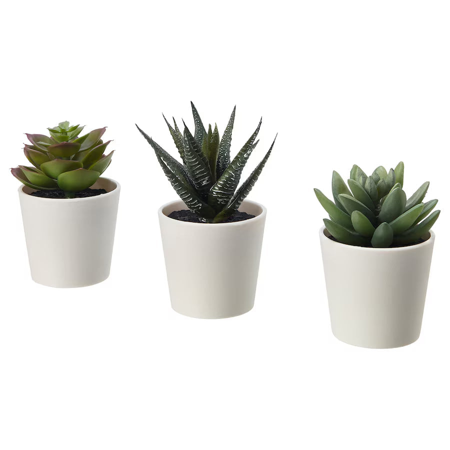 FEJKA Artificial potted plant with pot, in/outdoor Succulent, 6 cm 3 pack