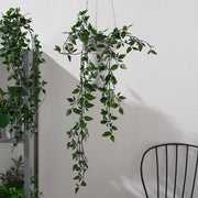 FEJKA Artificial potted plant, in/outdoor/hanging, 9 cm