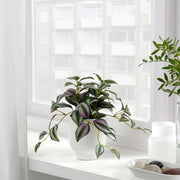 FEJKA Artificial potted plant, in/outdoor Spiderwort, 9 cm