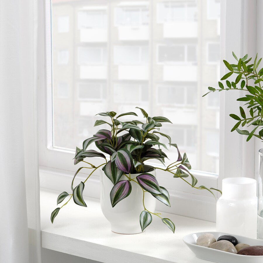 FEJKA Artificial potted plant, in/outdoor Spiderwort, 9 cm