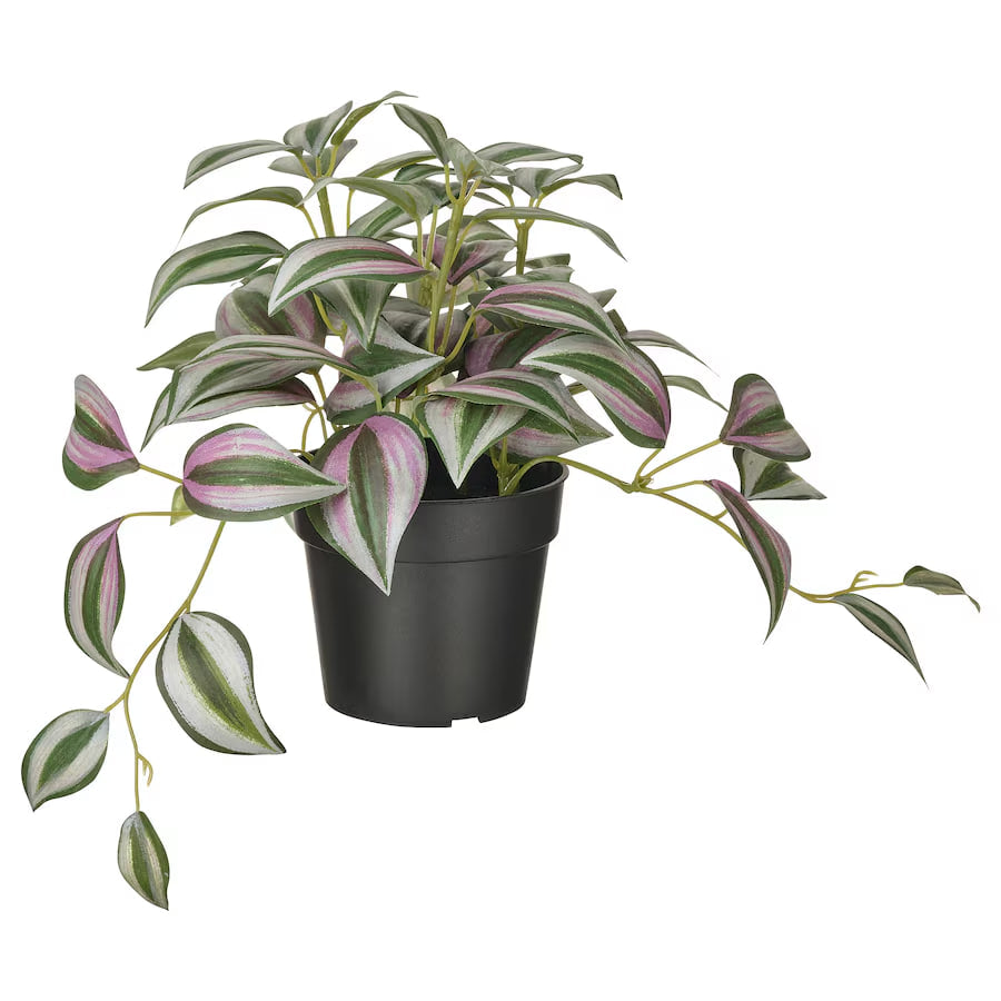 FEJKA Artificial potted plant, in/outdoor Spiderwort, 9 cm